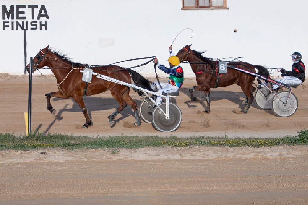 Carreras Torre del Ram 2-2-25