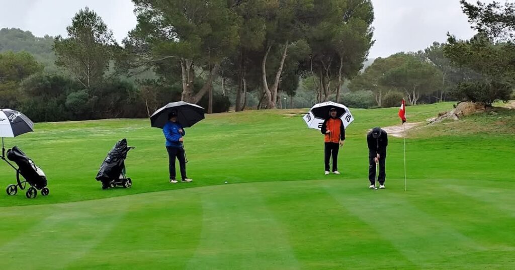 FB_IMG_1741690198660