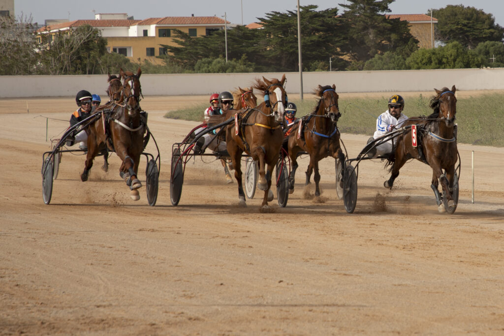 mao diada capvespre 1-5-25-11