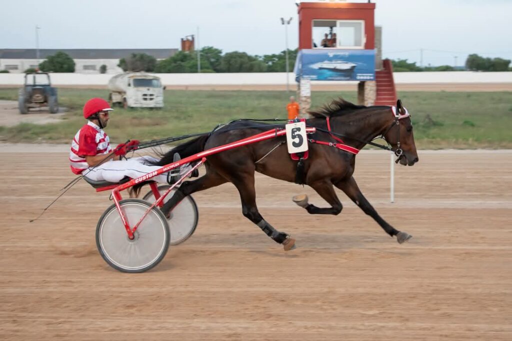 Carreras hipódromo mao