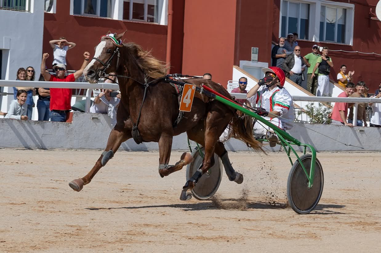 Hipodromo Municipal Maó