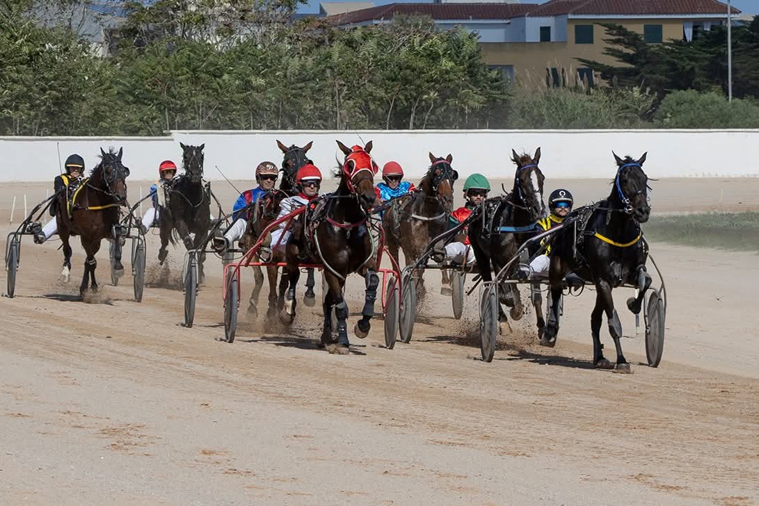 Hipodromo Municipal Maó
