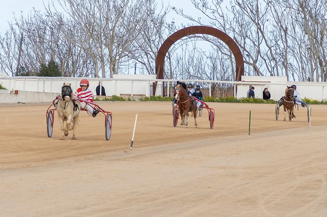 Hipodrom maó 11/1/26