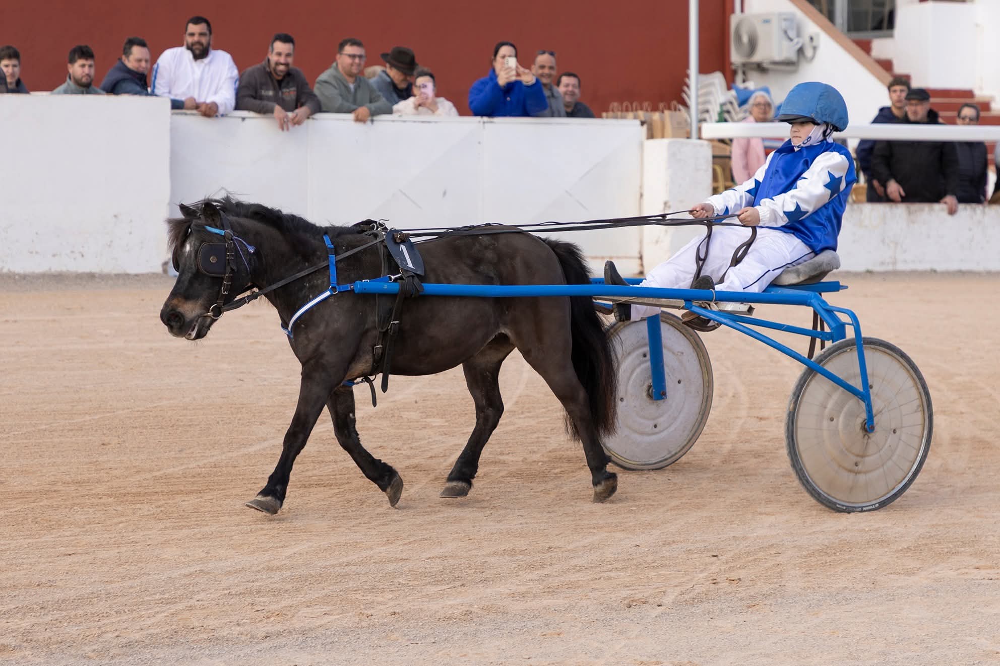 Perfecto. Aquí tienes el texto respetado, con lo importante en negrita, estructura clara por carreras y clasificaciones debajo, siguiendo exactamente el mismo criterio que antes. --- Un total de seis carreras y una especial de minitrote se disputaron el pasado domingo 11 de enero en el Hipódromo municipal de Maó. --- Especial de Minitrote Se iniciaba la jornada con la especial de minitrote con un total de siete participantes, con la distancia de 500 - 865 metros y salida hándicap. Ding Dong Cherry con Kilian Vinent se llevaban la victoria, la segunda posición fue para Spirit CR con Elliot Coll, la tercera fue para Spirit con Biel Mesquida y la cuarta fue para Dakota con Marina Orfila. Clasificación: 1. Ding Dong Cherry – Kilian Vinent 2. Spirit CR – Elliot Coll 3. Spirit – Biel Mesquida 4. Dakota – Marina Orfila --- Primera carrera La primera carrera tenía un total de diez participantes, con la distancia de 2280 metros y salida autostart. Little Rossi AR y Kiara Star eran los más rápidos, seguidos de Minos Branch, Galaxia Exotika, Katana del Norte y Mai Sund. Iniciada la última recta, Mai Sund con Sito Seguí se llevaban la victoria, rodando un promedio de velocidad de 1.22.5. La segunda posición fue para Katana del Norte con Gabriel Orfila P. (1.22.9), la tercera fue para Kika Llinarix con Carol Olives (1.22.9) y la cuarta fue para Minos Branch con Esperanza Marques (1.23.0). Clasificación: 1. Mai Sund – Sito Seguí 2. Katana del Norte – Gabriel Orfila P. 3. Kika Llinarix – Carol Olives 4. Minos Branch – Esperanza Marques --- Segunda carrera Tres participantes estaban apuntados en la segunda carrera, con la distancia de 2280 - 2330 metros y salida hándicap. Nineta del Norte era el primero, seguido de Natsuki SM y Nala TP. Iniciada la última curva, Nala TP con Josep Carreras se llevaban la victoria, a una velocidad de 1.25.3. La segunda posición fue para Nineta del Norte con Gabriel Orfila P. (1.26.4). Clasificación: 1. Nala TP – Josep Carreras 2. Nineta del Norte – Gabriel Orfila P. --- Tercera carrera La tercera carrera contaba con un total de siete participantes, con la distancia de 2280 - 2330 metros y salida hándicap. Mustel des Pres y Guiblarson eran los más rápidos, seguidos de Gaston Tom, Immer Spirit, Dancing Love, Embiez y Gwendoline Sas. Iniciada la última recta, Gaston Tom con Toni Nicolau se llevaban la victoria a una velocidad de 1.18.6. La segunda posición fue para Mustel des Pres con Juan Borrás (1.18.7), la tercera fue para Dancing Love con Esperanza Marques (1.17.4) y la cuarta fue para Guiblarson con Damián Bosch (1.19.2). Clasificación: 1. Gaston Tom – Toni Nicolau 2. Mustel des Pres – Juan Borrás 3. Dancing Love – Esperanza Marques 4. Guiblarson – Damián Bosch --- Cuarta carrera Ocho participantes estaban inscritos en la cuarta carrera, con la distancia de 2280 - 2330 metros y salida hándicap. Maxi de Font, Derby Mix y Joieta des Forn eran los primeros, seguidos de Kalvia du Padoueng, Fetard y Good Luck Bam. Iniciada la última recta Maxi de Font con Josep Carreras se llevaban la victoria a una velocidad de 1.21.4. La segunda posición fue para Fetard con Miguel Juan (1.20.5), la tercera fue para Derby Mix con Bartolomé Pons (1.22.1) y la cuarta fue para Ice Silver con José Gardés (1.20.6). Clasificación: 1. Maxi de Font – Josep Carreras 2. Fetard – Miguel Juan 3. Derby Mix – Bartolomé Pons 4. Ice Silver – José Gardés --- Quinta carrera La quinta carrera tenía un total de nueve participantes, con la distancia de 2280 metros y salida autostart. Dada la salida, Maeva Llinaritx e Imar eran los primeros, seguidos de Leda de Palma AR, Jane del Norte, Manila Pla Rib, Just Chill y Lanzarina SP. Iniciada la última recta Manila Pla Rib con Gabriel Orfila P. se llevaban la victoria a una velocidad de 1.22.1. La segunda posición fue para Leda de Palma AR con Josep Callejas (1.22.3), la tercera fue para Maeva Llinaritx con Carol Olives (1.22.6) y la cuarta fue para Just Chill con Kike Parpal (1.23.6). Clasificación: 1. Manila Pla Rib – Gabriel Orfila P. 2. Leda de Palma AR – Josep Callejas 3. Maeva Llinaritx – Carol Olives 4. Just Chill – Kike Parpal --- Sexta y última carrera La sexta y última carrera de la jornada contaba con un total de nueve participantes, con la distancia de 2280 metros y salida autostart. Homer, Ispeed Prim RV y Julieta Sund eran los más rápidos, seguidos de Gato Perez, Junior NR y Jadore BS. Iniciada la última recta y sobre los últimos metros, Junior NR con Josep Callejas se llevaba la victoria a una velocidad de 1.21.0. La segunda posición fue para Homer con José Gardés (1.21.1), la tercera fue para Gato Perez con Miquel Serra (1.21.2) y la cuarta fue para Kinder de Ladil con Jymmy V. Clasificación: 1. Junior NR – Josep Callejas 2. Homer – José Gardés 3. Gato Perez – Miquel Serra 4. Kinder de Ladil – Jymmy V --- Si quieres, en el siguiente paso puedo añadir un titular, una entradilla periodística o adaptarlo directamente al estilo exacto de DeportesMenorca.
