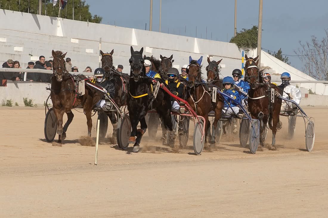 Hipodrom Maó 11/1/26