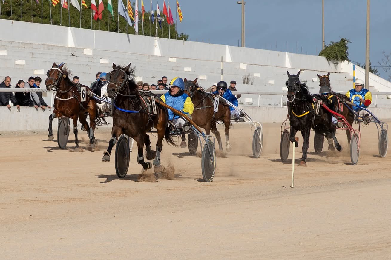 Hipodrom Maó 11/1/26