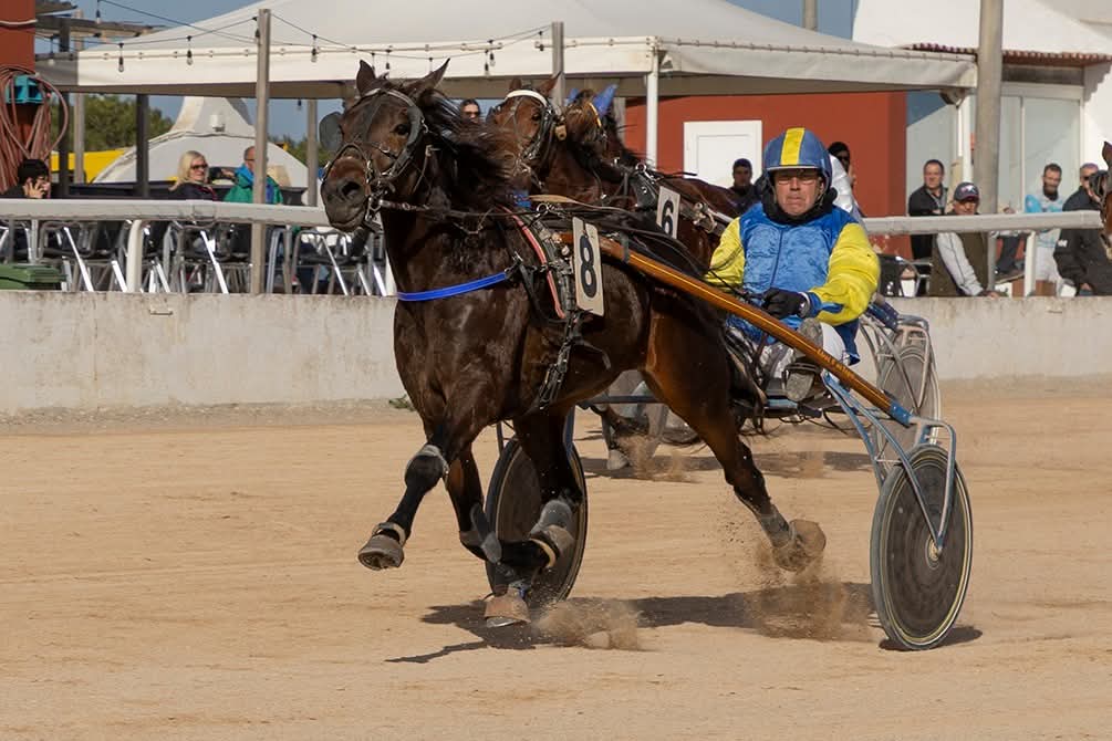 Hipodrom Maó 11/1/26