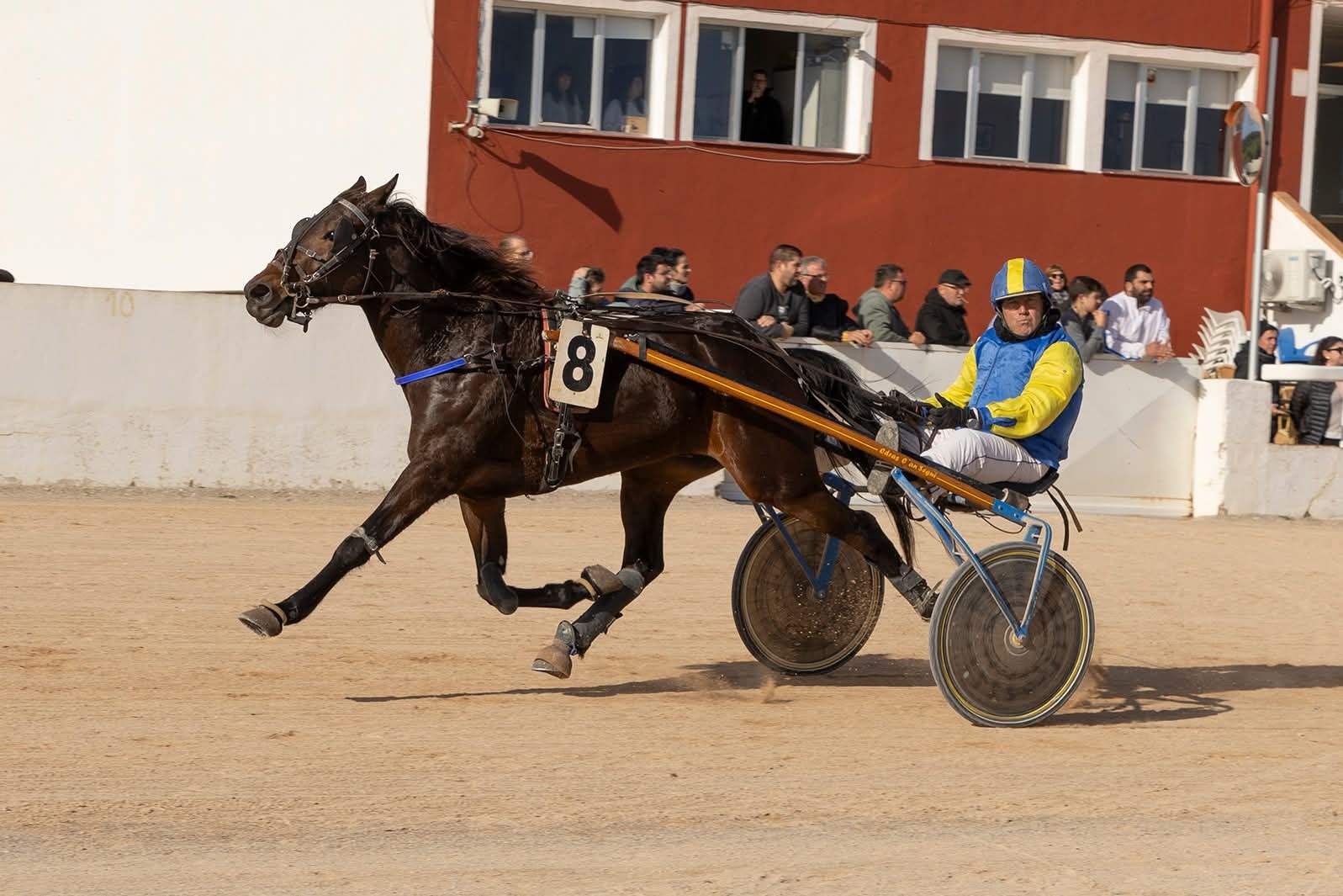 Hipodrom Maó 11/1/26
