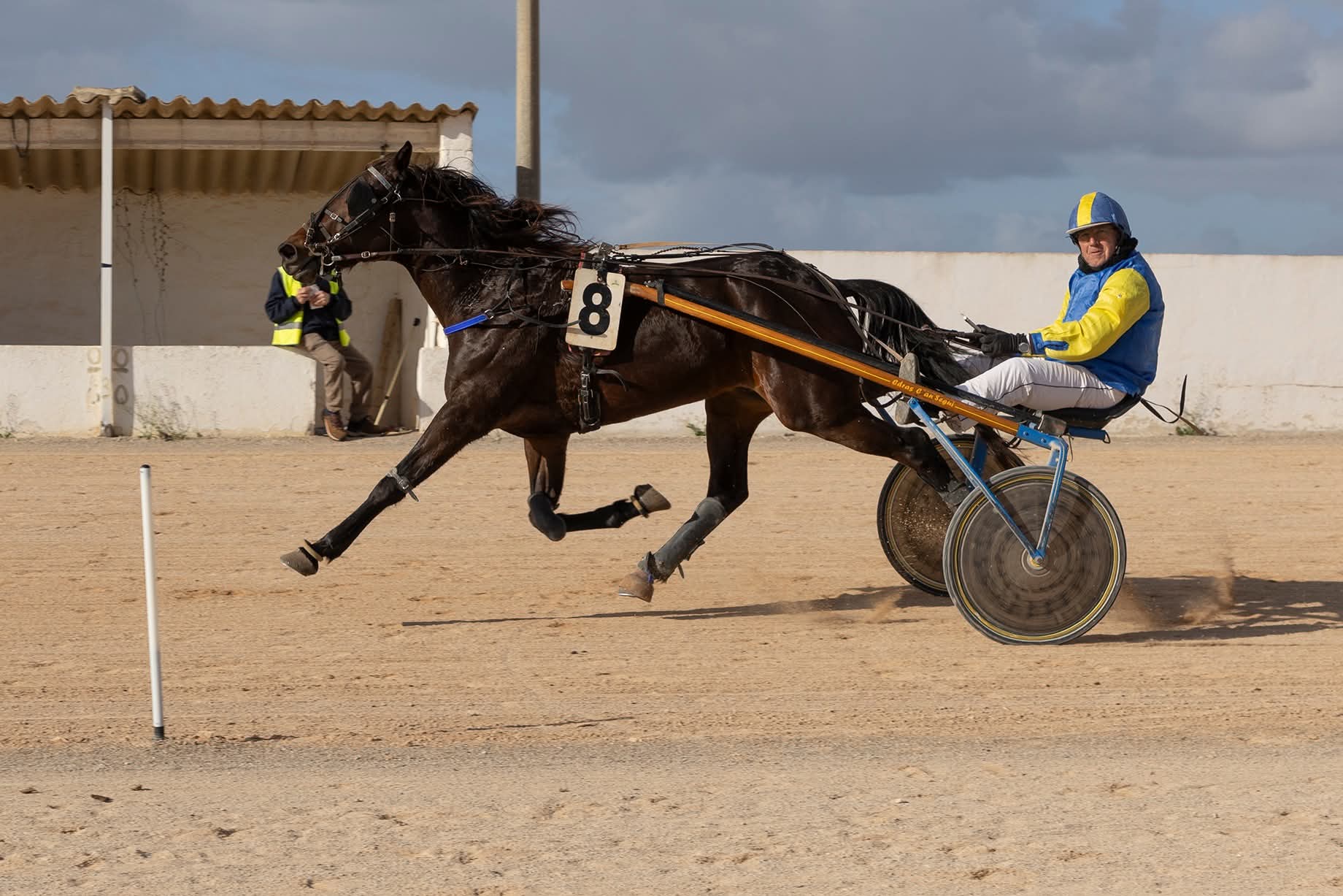Hipodrom Maó 11/1/26