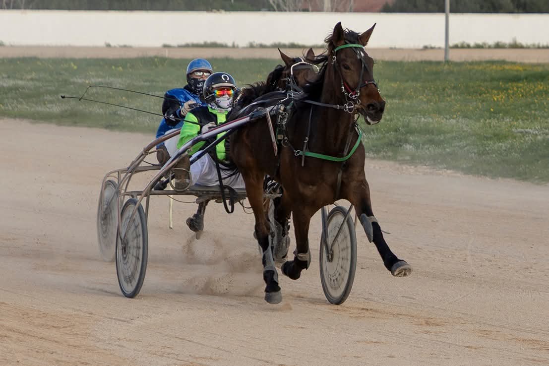 Hipodrom Maó 11/1/26