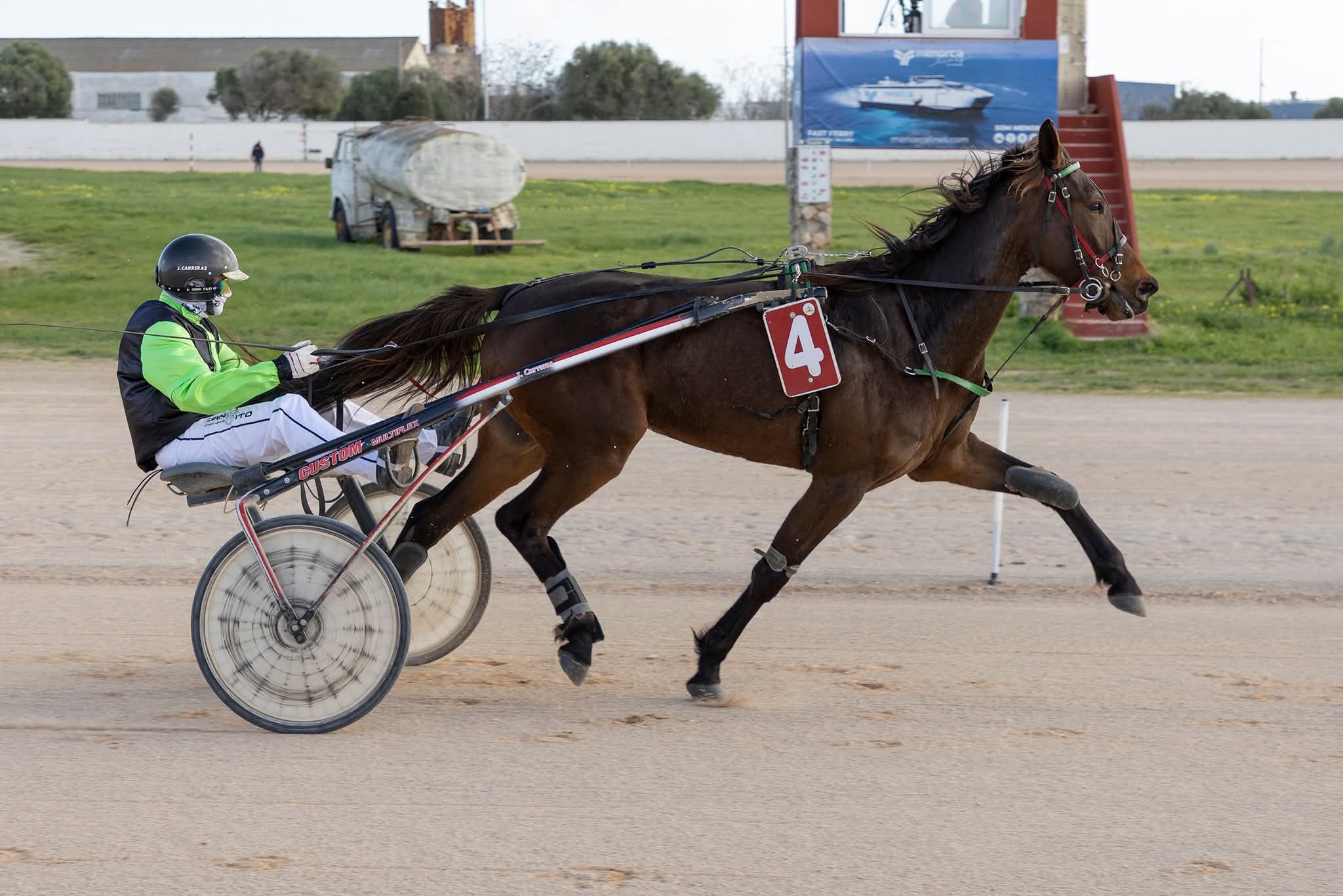 Hipodrom Maó 11/1/26