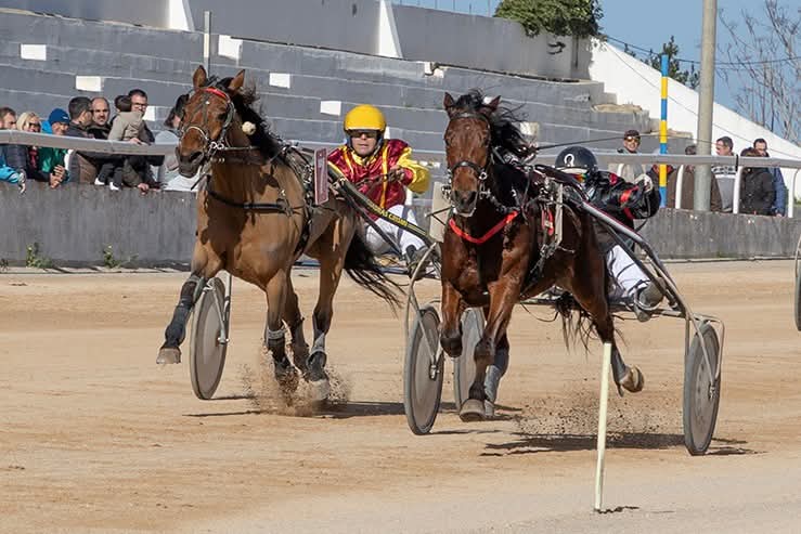 Hipodrom Maó 11/1/26