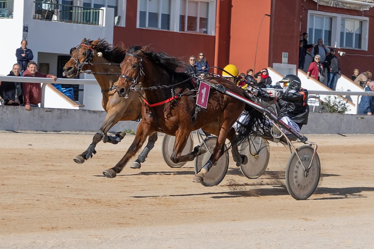 Hipodrom Maó 11/1/26