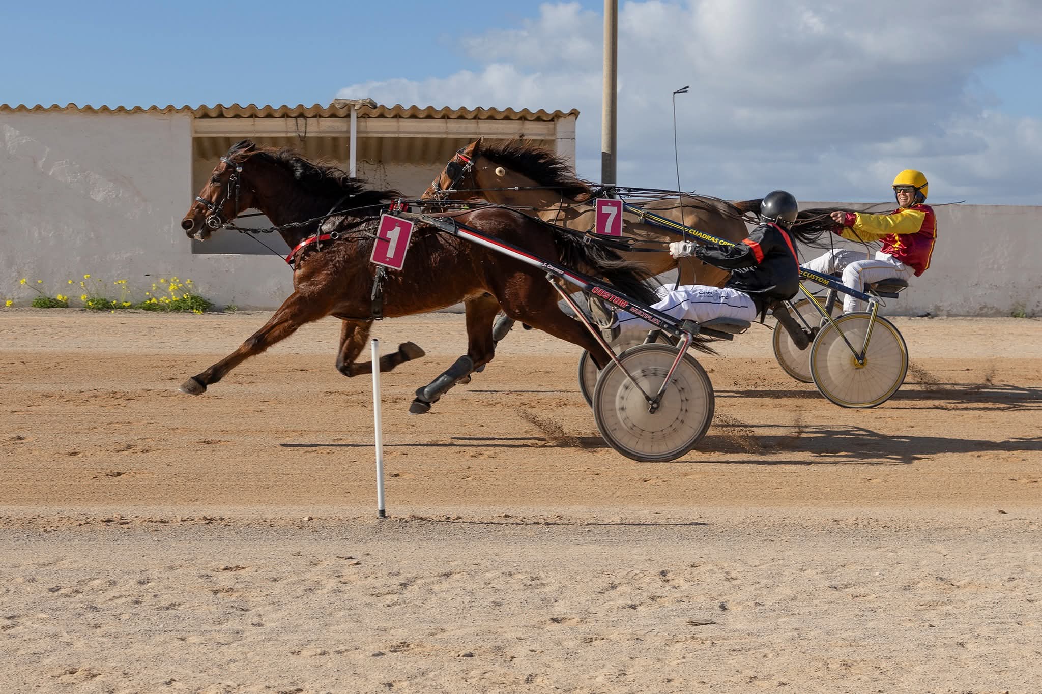 Hipodrom Maó 11/1/26
