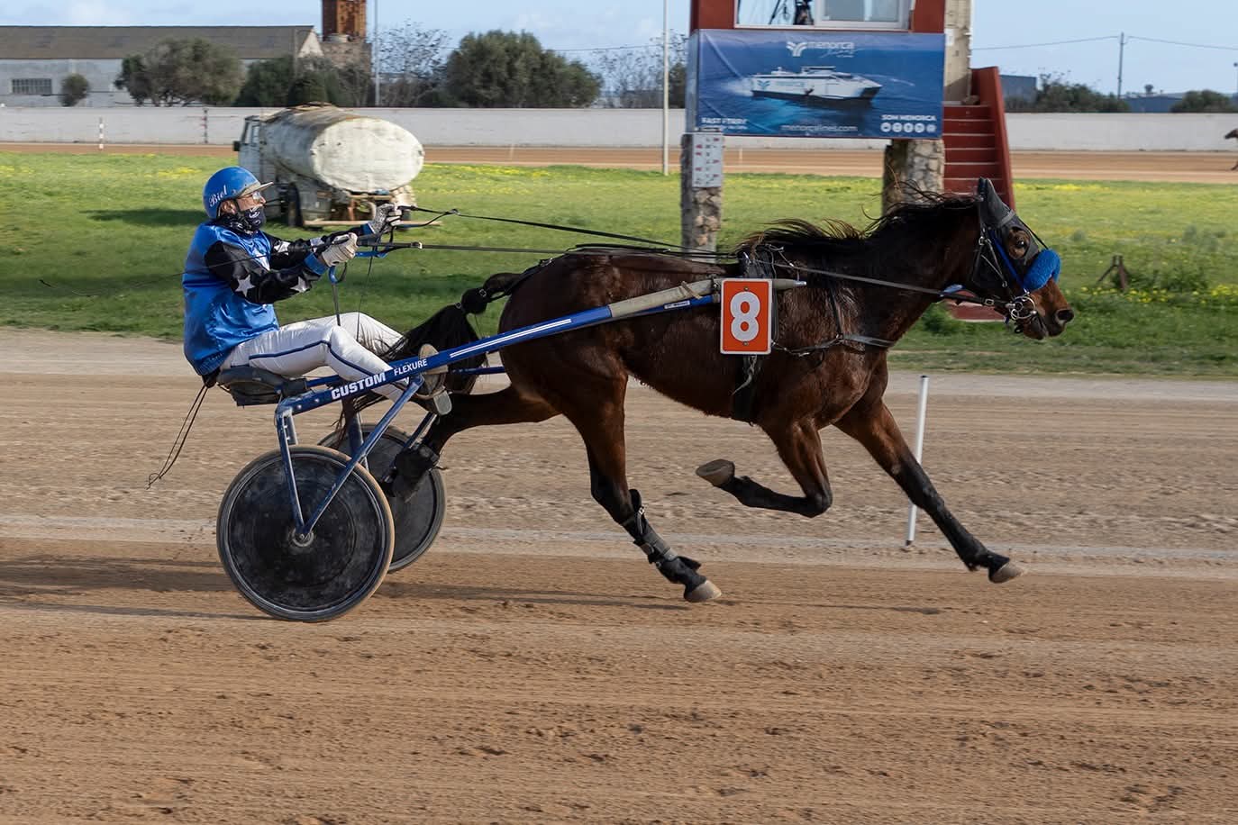 Hipodrom Maó 11/1/26
