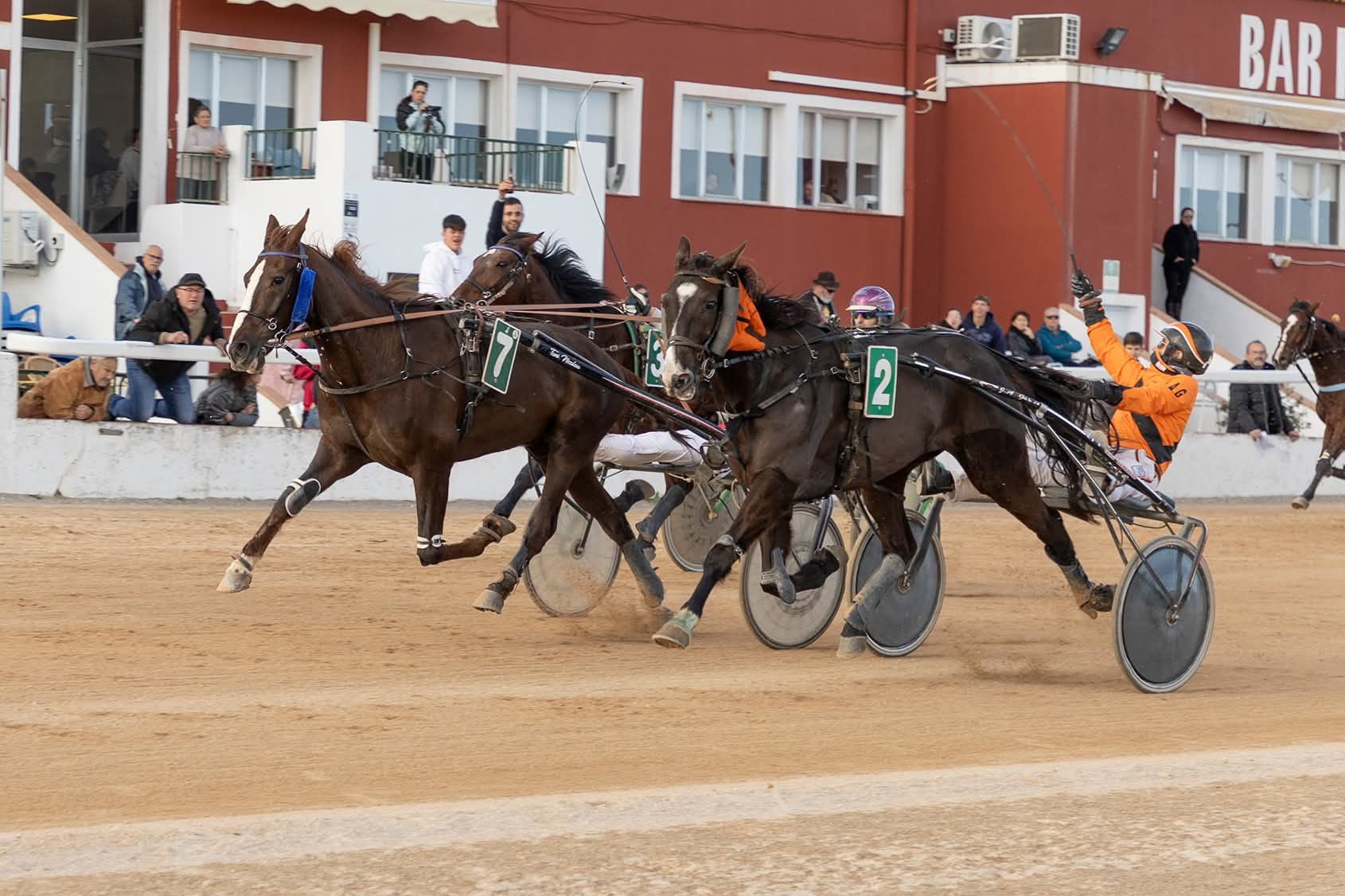 Hipodrom Maó 11/1/26