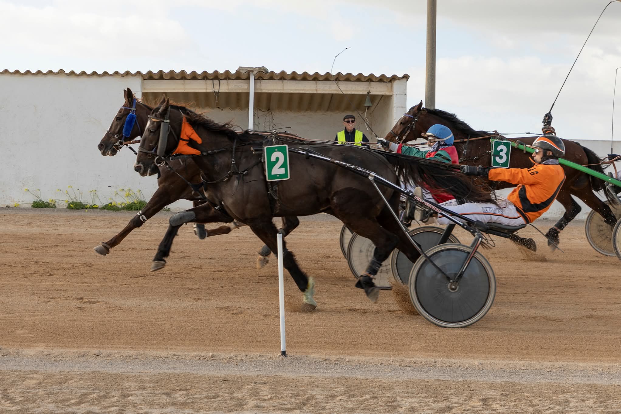 Hipodrom Maó 11/1/26