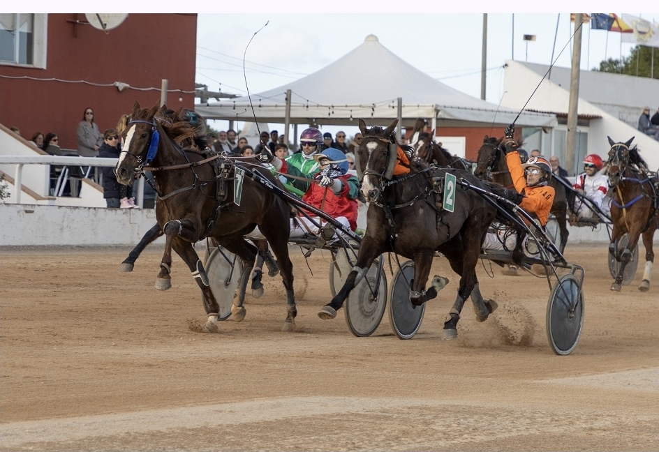 Screenshot_20260112_131303_Gmail