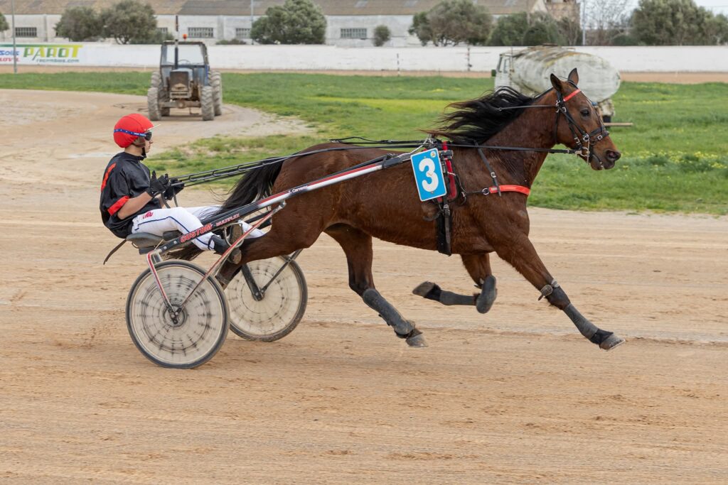Hipódromo Municipal de Maó