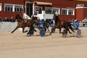 @CbCastell firma una remontada de playoff https://deportesmenorca.com/2026/02/15/sa-tintina-es-castell-firma-una-remontada-de-playoff-ante-el-sese/