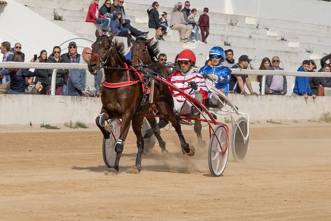 FB_IMG_1772615707556