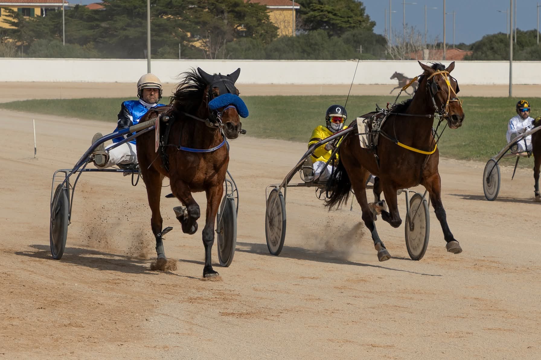 FB_IMG_1772615714713