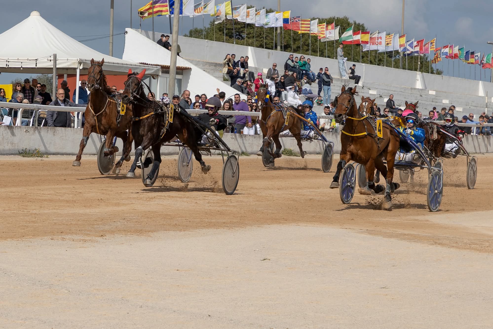 FB_IMG_1772615722386