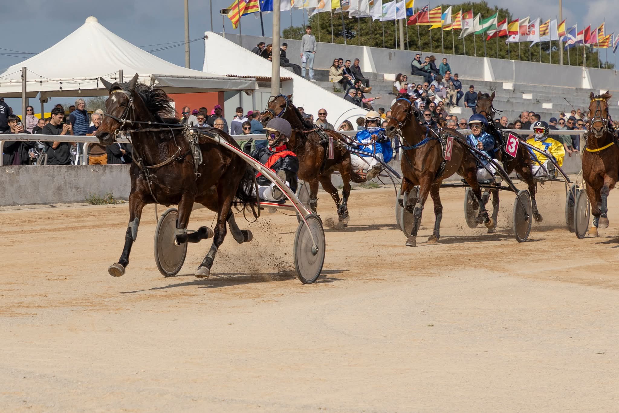 FB_IMG_1772615730801