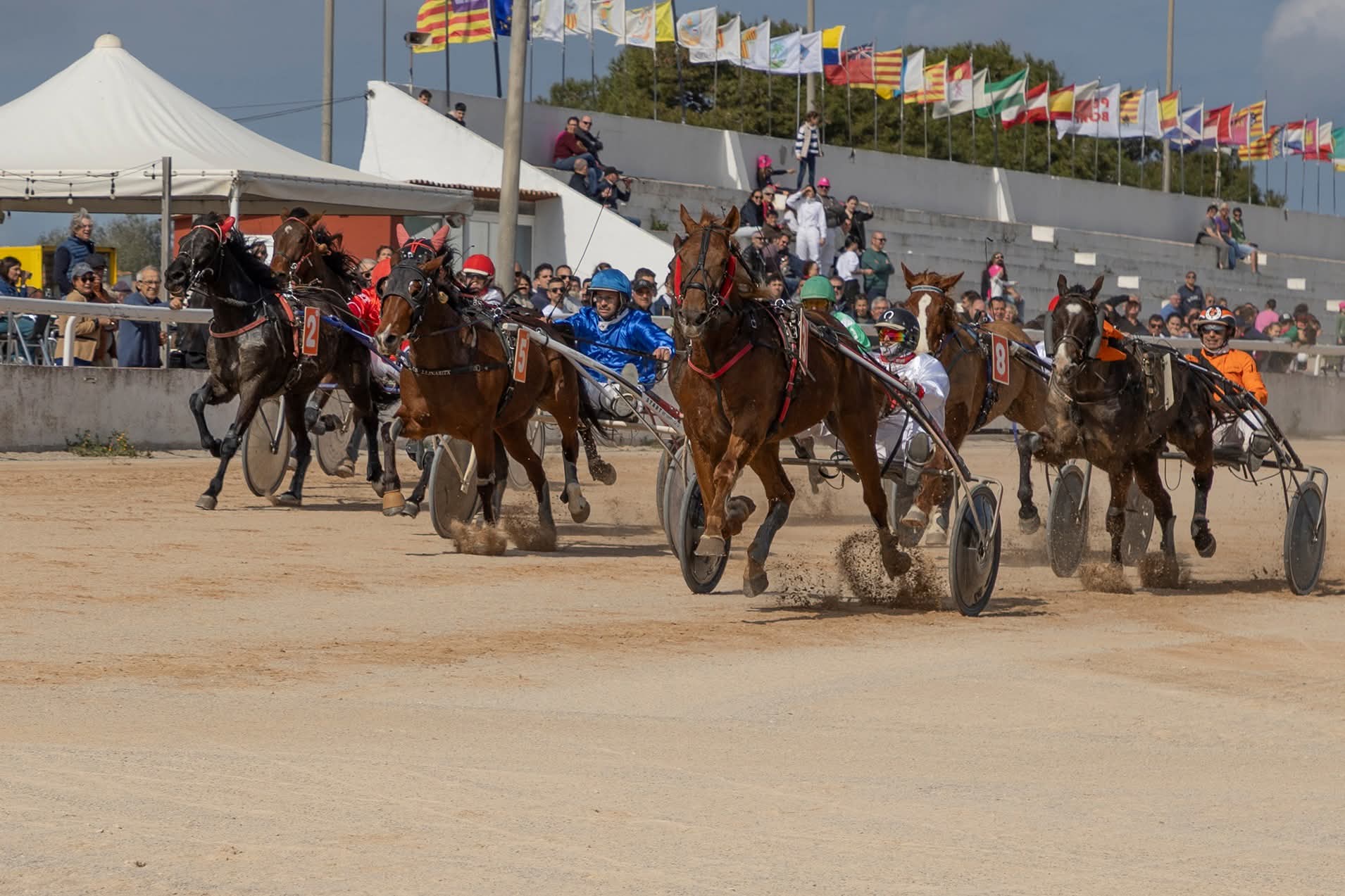 FB_IMG_1772615738637