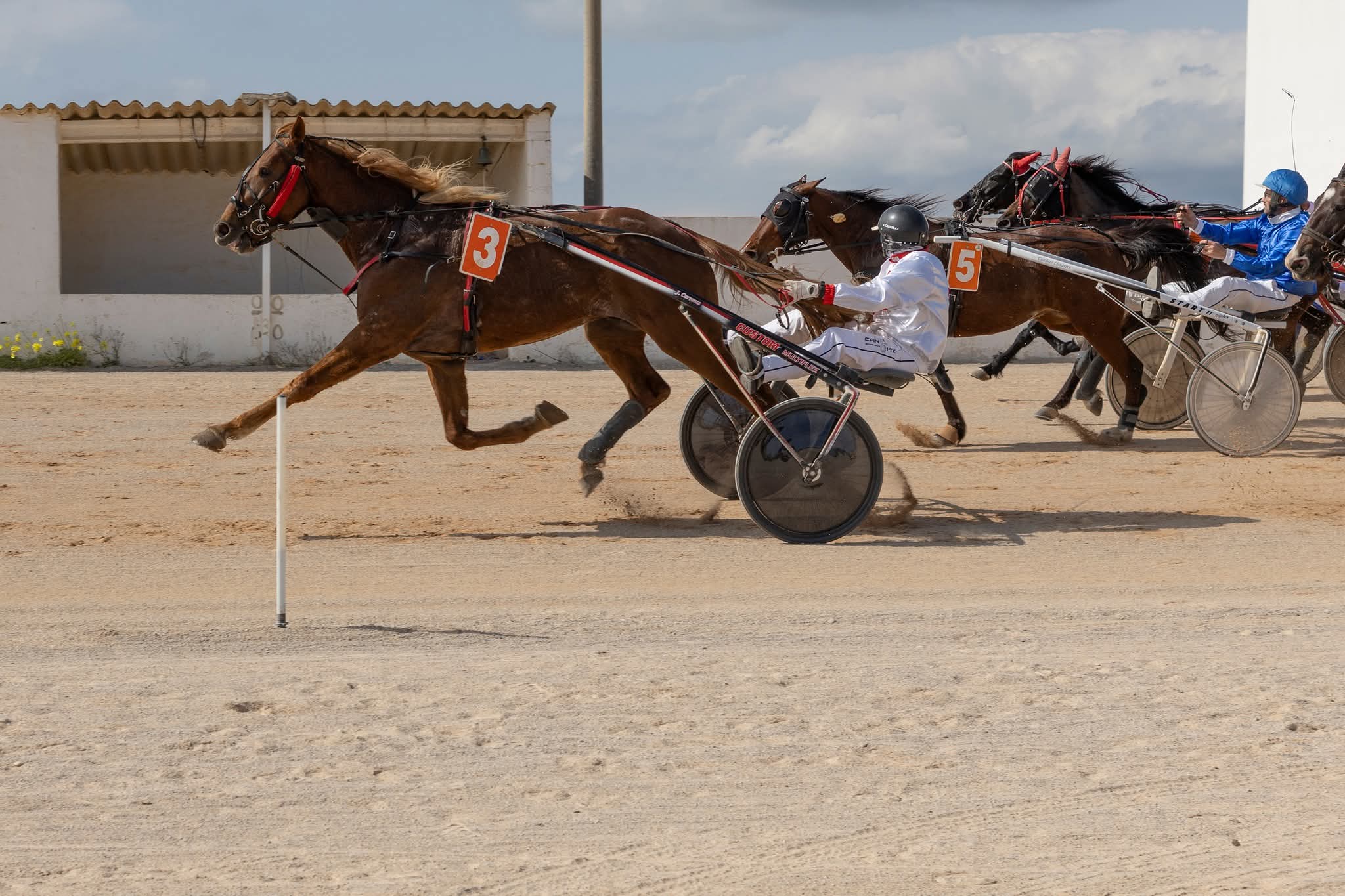 FB_IMG_1772615741226