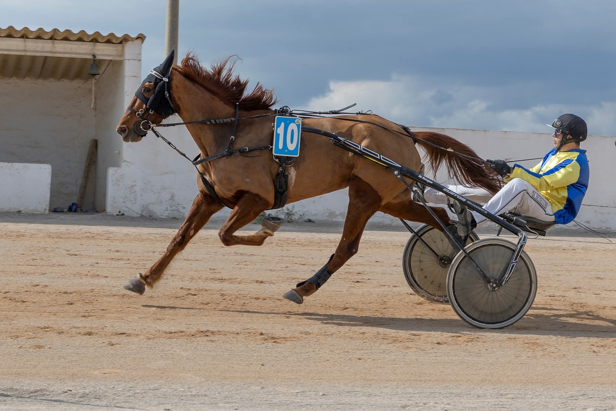 FB_IMG_1772615756791