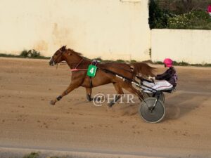 FB_IMG_1774984164255