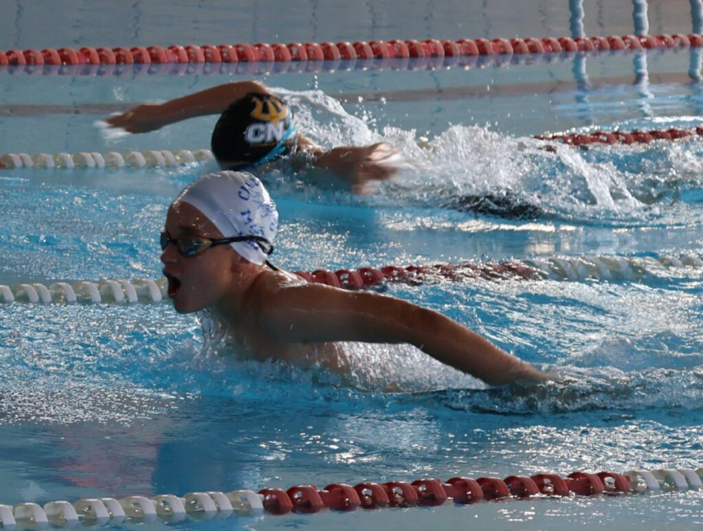 nedador 50 papallona