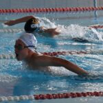 nedador 50 papallona