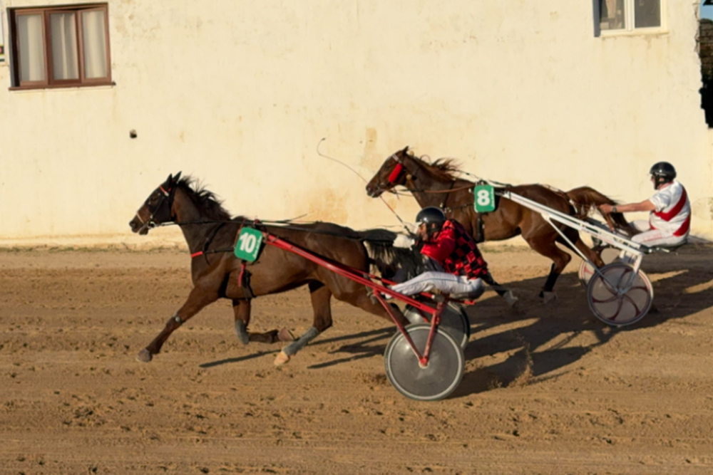 Carreras Trot Torre del Ram (Abril 2026)