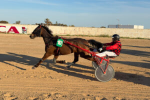 Carreras Trot Torre del Ram (Abril 2026)