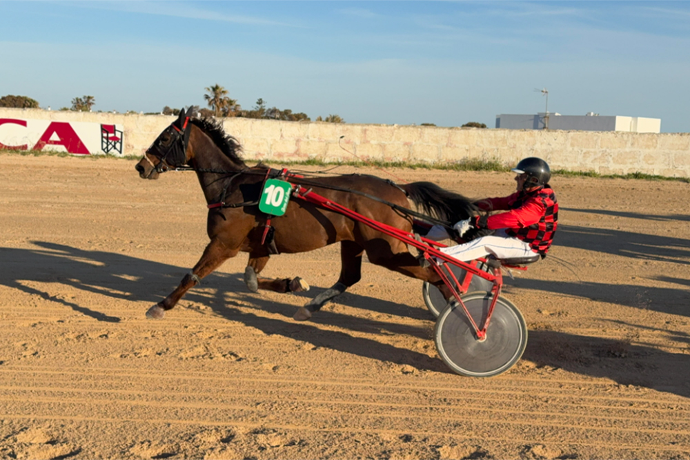 Carreras Trot Torre del Ram (Abril 2026)