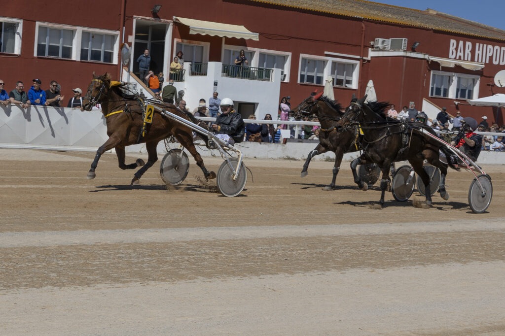 Hipódromo Municipal de Maó