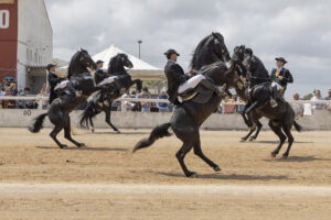 Diada Hipodromo