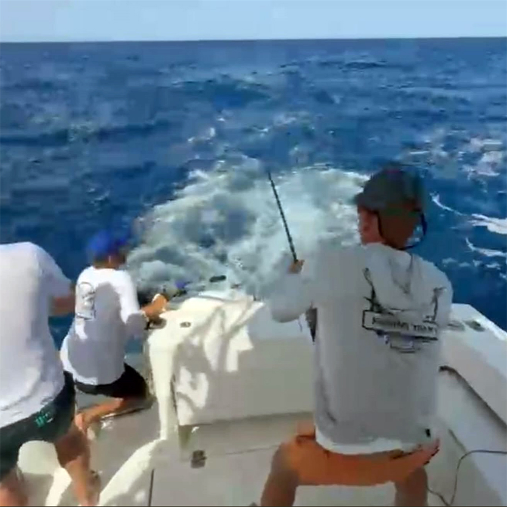 Es Nàutic bronze del Campionat d'Espanya de Pesca 2026