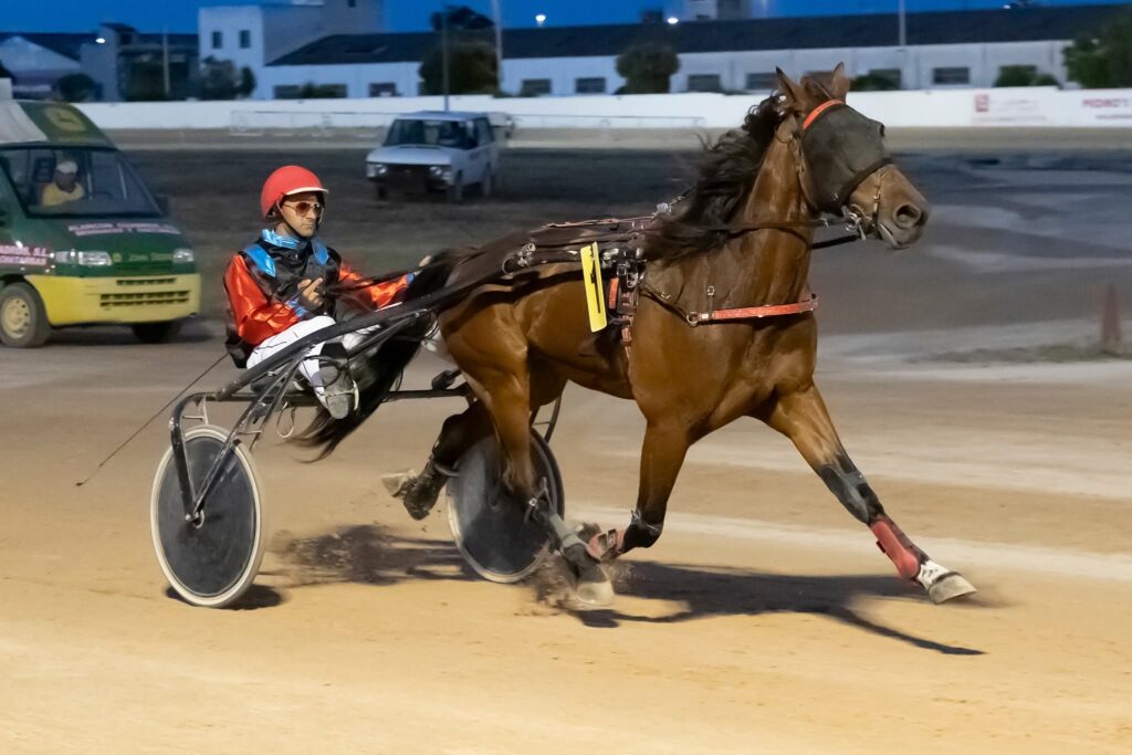 Hipodromo
