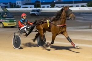 Hipodromo