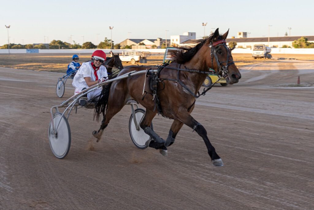 Hipodromo mao juny