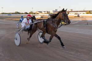 Hipodromo mao juny