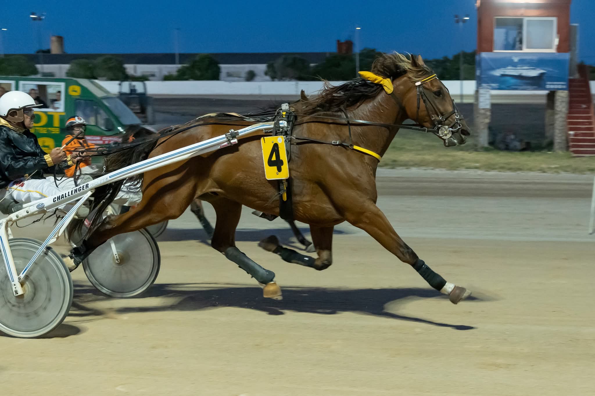 Hipodromo mao juny