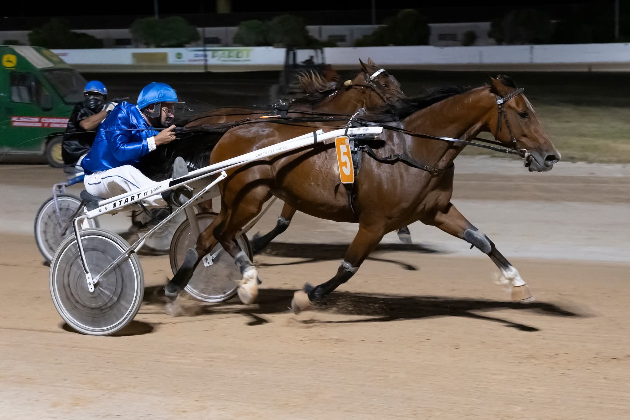 Hipodromo mao juny