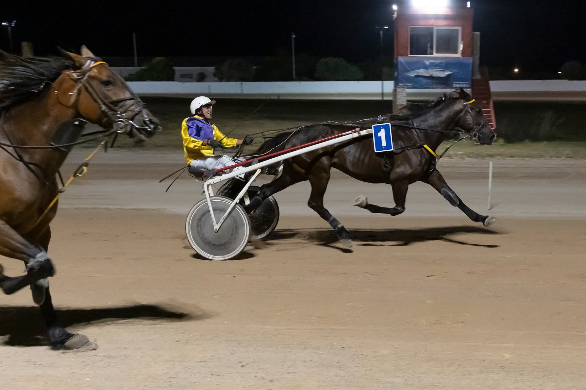 Hipodromo mao juny