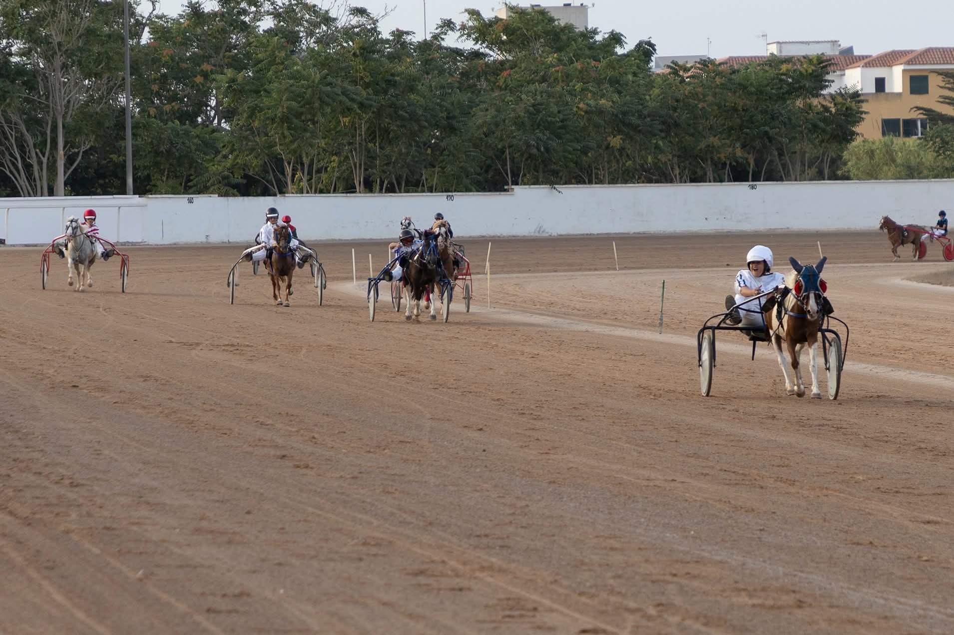 Hipodromo maó juliol 2026