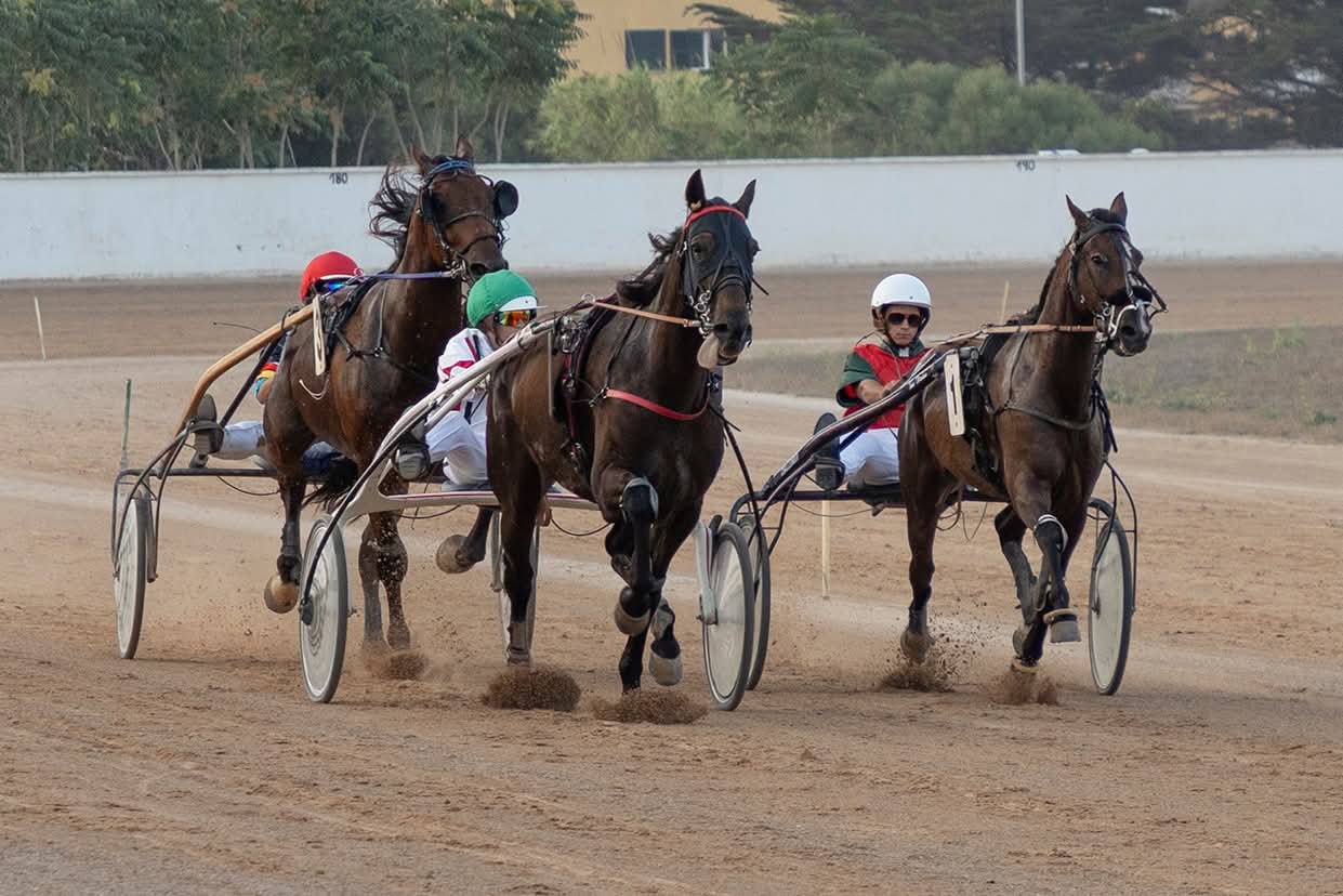 Hipodromo maó juliol 2026