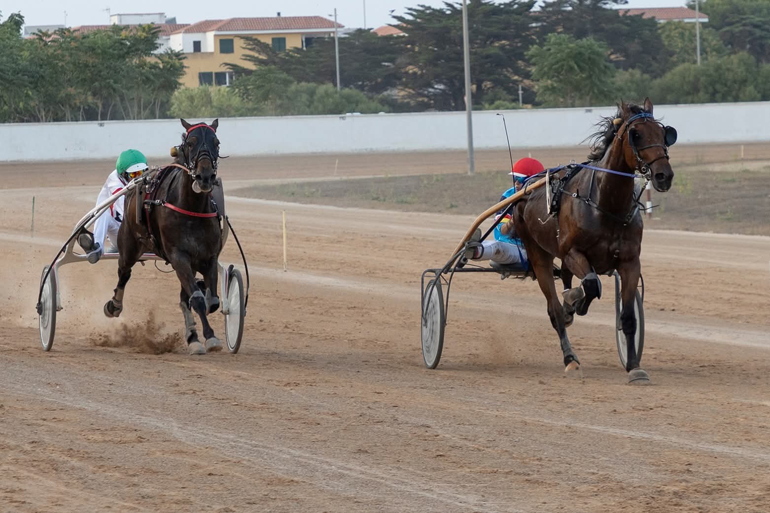 Hipodromo maó juliol 2026